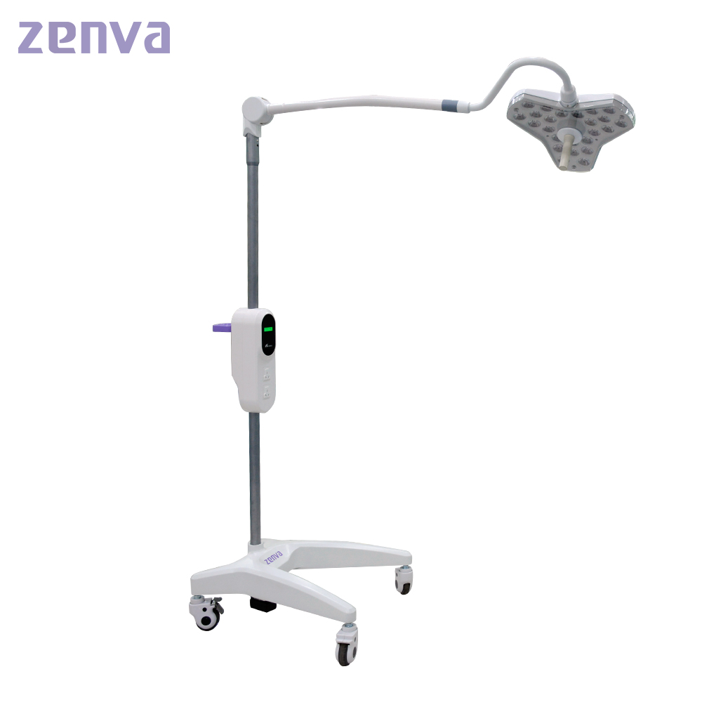 Dental LED wall mounted type dental surgical lamp  examination light